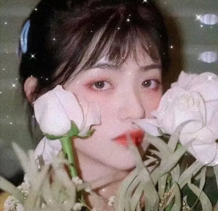 灵探特莱丝